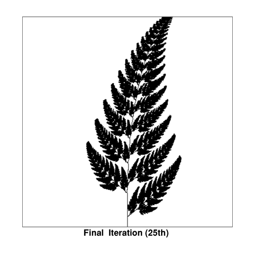 Fern