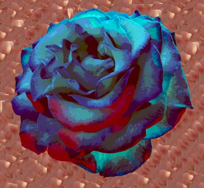 Blue Rose.
