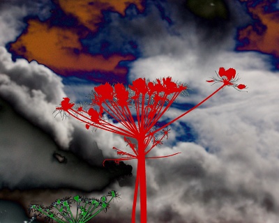 Exotic Tree