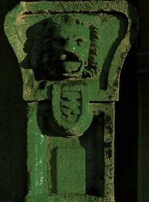 Green Lion