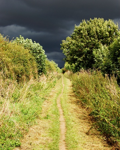Trail into Darkness