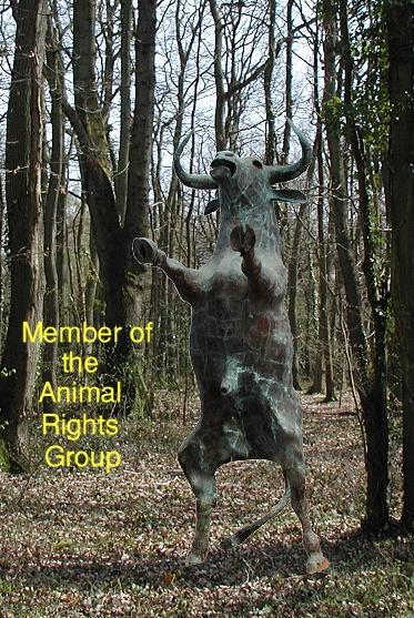 ANIMALRTSGP