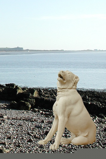 PETS_2