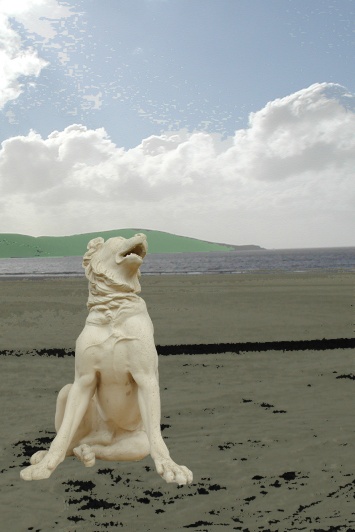 PETS_3
